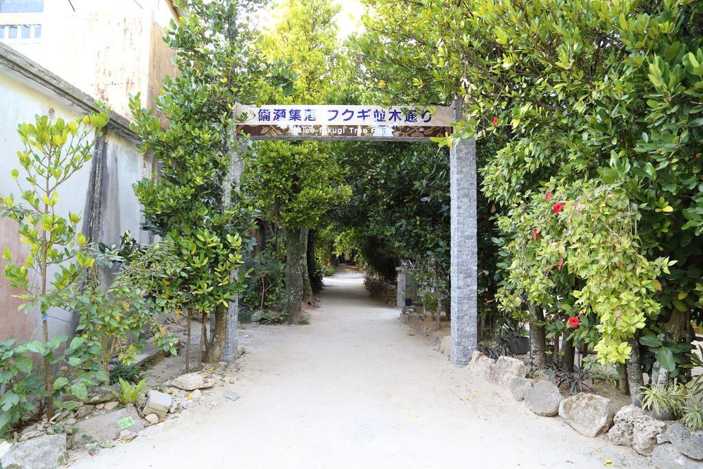 모토부 Tabinoteitaku Okinawa Bise Homann Concept 빌라 외부 사진
